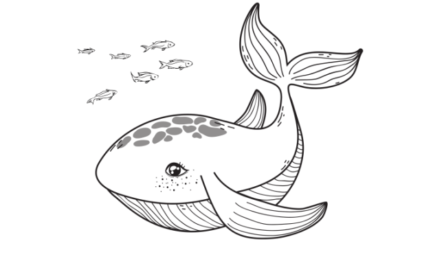 Coloring Pages of Detailed Sea Animals