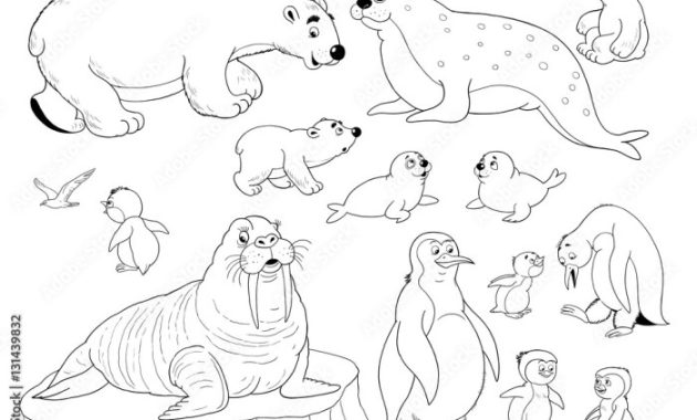 Cute Arctic Animals Coloring Pages A Fun Arctic Adventure