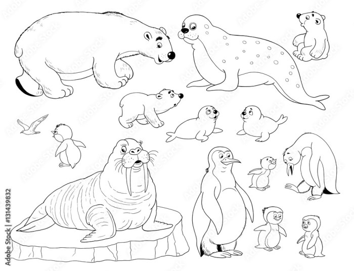 Cute arctic animals coloring pages