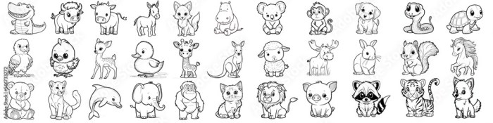 Coloring pics of preety ans small animals