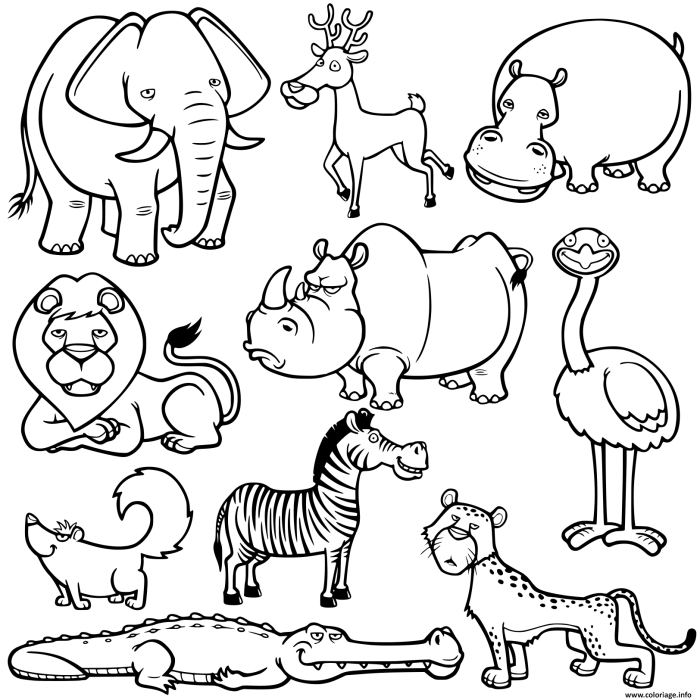 Animal care coloring sheet