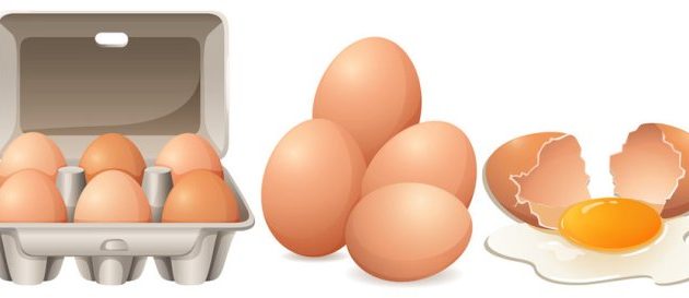 Egg Carton Easy Drawing A Comprehensive Guide