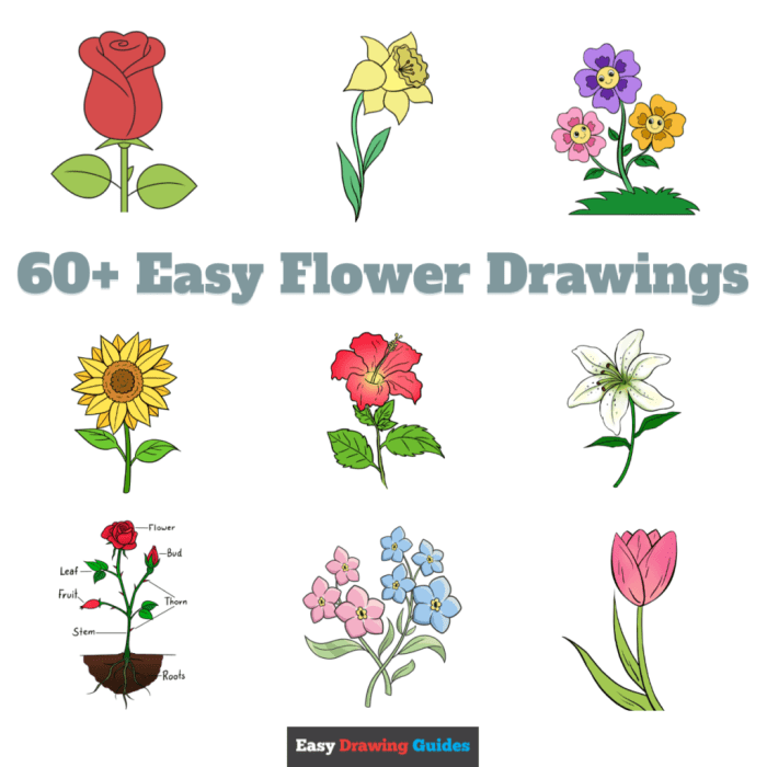 Floriculture flower drawing easy