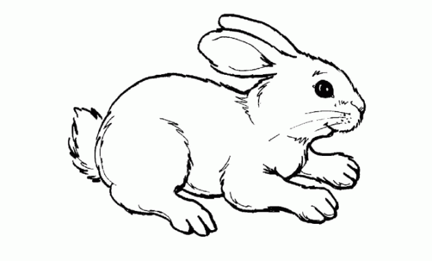 Coloring Sheet for Kids Animals