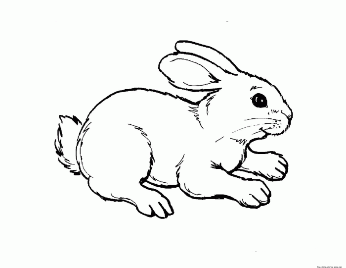 Coloring sheet for kids animals