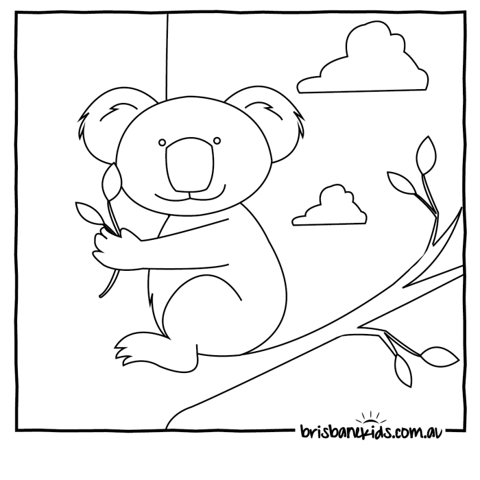 Favorite australian animals coloring pages