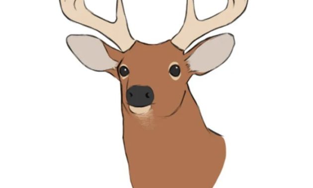 Easy Sketch Deer Head Drawing Guide