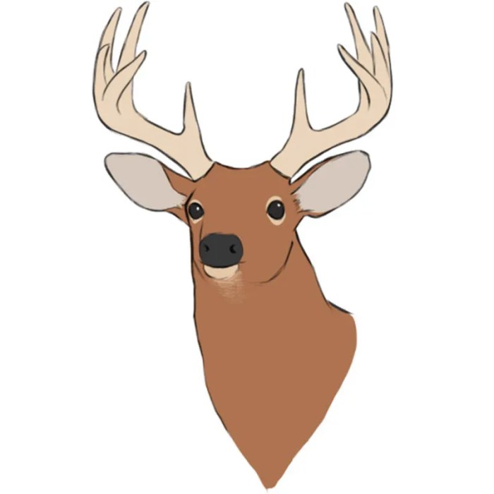 Deer head outline drawing buck clipart line stag white simple heads clip cliparts doe easy collection mounted library drawings picture