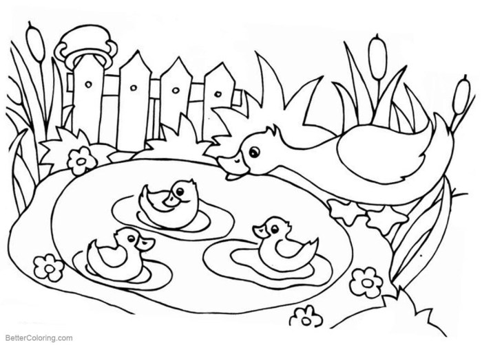 Free pond animal coloring pages