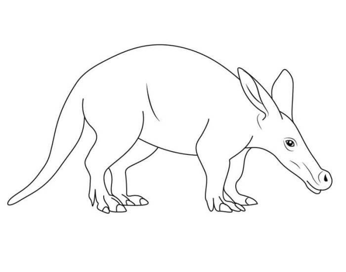 Aardvark cartoon draw tutorial print