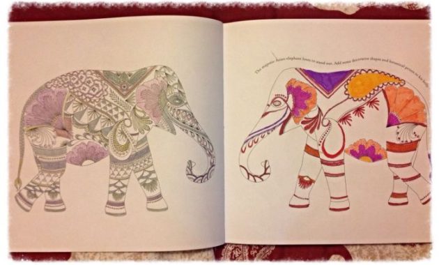 Animal Kingdom Coloring Book Finished A Comprehensive Review