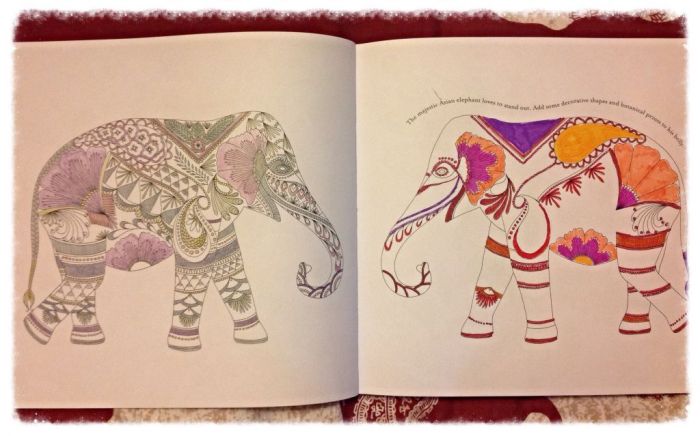 Animal kingdom coloring book finished