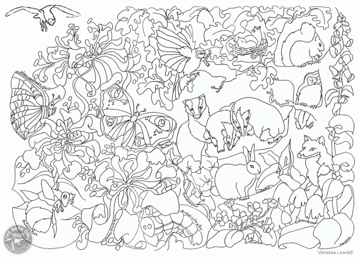 Animal care coloring sheet