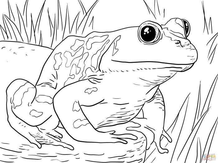 Everyone loves coloring animals colored pages