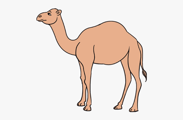 Dersert drawing easy with a camel