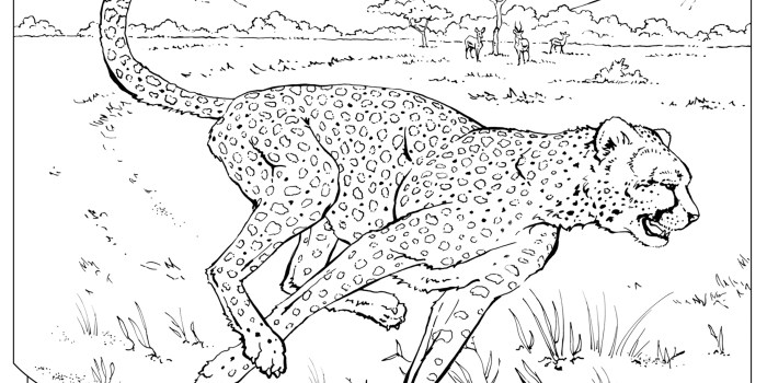 Real looking animal coloring pages