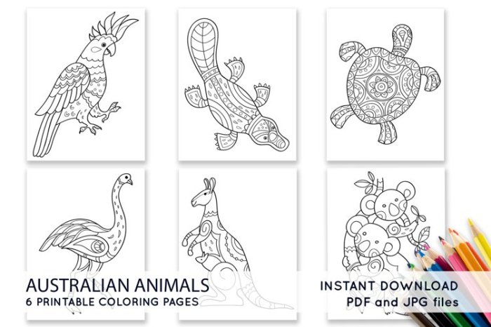 Favorite australian animals coloring pages