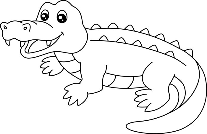 Coloring pages of animal alligator