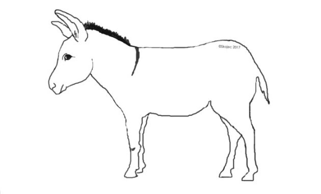 A Easy Drawing of a Donkey