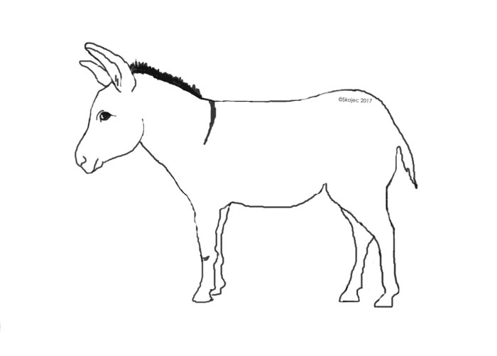 A easy drawing of a donkey