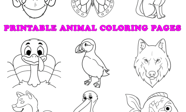 Coloring Pictures of All Kinds of Animals