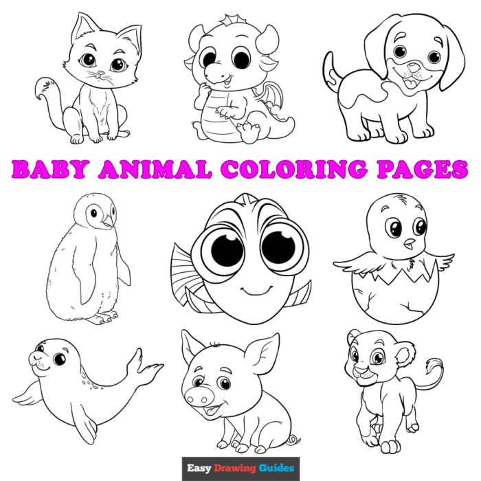 Easy coloring book animals