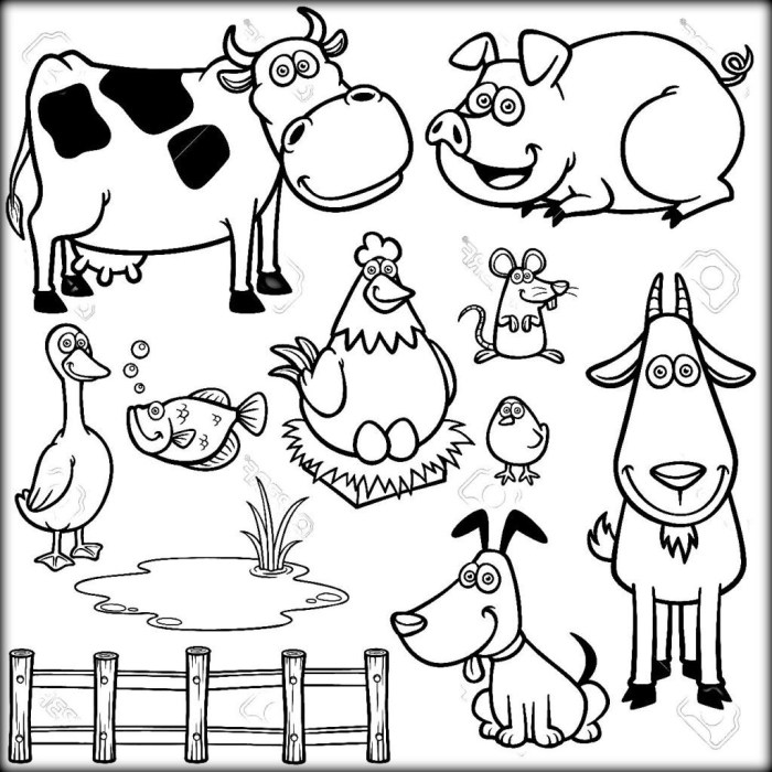 Animal coloring page assortment pdf