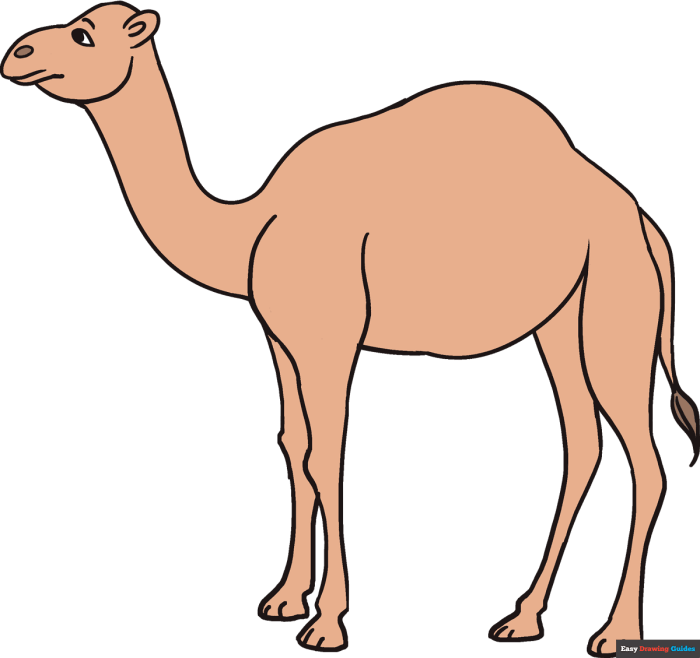 Dersert drawing easy with a camel