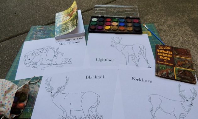 Burgess Animal Book Coloring A Creative Guide