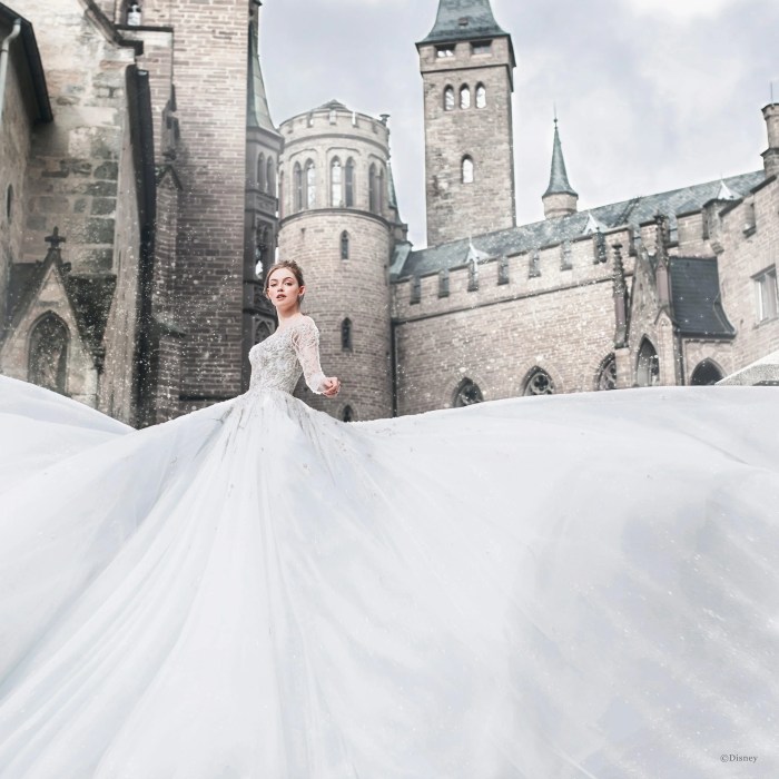 Cinderella sparkling wedding dress