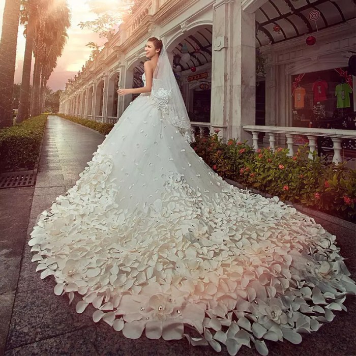 Blinged out plus size wedding dresses